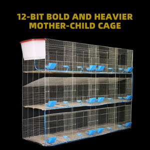 Grande Ferme Cage Galvanisée <span class=keywords><strong>pour</strong></span> Lapins Élevage de Lapins Cages Durables Offertes à la Vente - Product Image 4