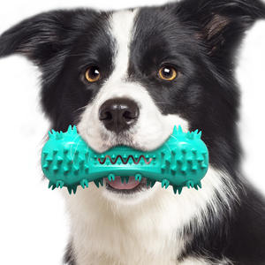 Tiktok fournisseur nouveauté grinçant chien <span class=keywords><strong>brosse</strong></span> <span class=keywords><strong>à</strong></span> dents jouets nettoyage des dents jouet <span class=keywords><strong>à</strong></span> mâcher Durable brossage bâton soins <span class=keywords><strong>dentaires</strong></span> os - Product Image 5