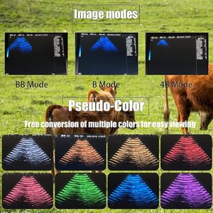 Escáner de Ultrasonido Veterinario Portátil GOYOJO, Equipo de Prueba para Diagnóstico de Gestación con Sonda Sectorial Mecánica para Ovejas y Cerdos - Product Image 5
