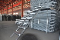 Échelles en acier pré-galvanisé pour échafaudages Layher Ringlock Q195, conformes à la norme BS-1139, pour usage extérieur - Vente en gros