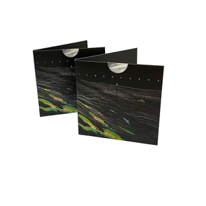 Digipack di duplicazione dell'imballaggio del CD <span class=keywords><strong>DVD</strong></span> del disco di musica delle maniche dell'imballaggio del cartone della carta da stampa su ordinazione - Product Image 6