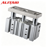 Cilindro Neumático de Doble Acción de la Serie MGP de ALITAIR, con Guía Compacta de Acero Inoxidable