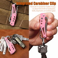 Couteau pliant EDC Baiyuheng avec mousqueton, acier inoxydable 3Cr13, lame de 70 mm, mini couteau porte-clés pour le camping, la randonnée et les activités de plein air