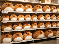 Coussin en peluche Capybara personnalisé, doux et moelleux, pour la décoration de la maison, du canapé et de la chambre à coucher