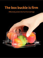 Boîte d'emballage alimentaire en PET transparent sur mesure pour fruits, 250g, pour tomates cerises, légumes, conteneur jetable en blister pour supermarché