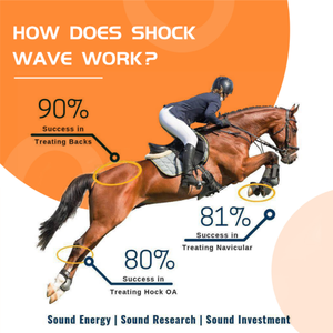 Genwave Shockwave Therapy Ondas De Choque Shockwave Therapy ESWT Human Use Rehabilitation Equipment Veterinary Shockwave - Product Image 2