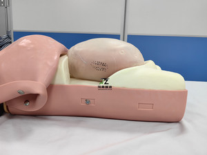 Modelo de Parto para Entrenamiento Médico, Simulador de Nacimiento para Enfermería, Modelo de Maternidad Avanzado - Product Image 3