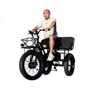 <span class=keywords><strong>Tricycle</strong></span> électrique à pneus gras de 24 pouces 750W, <span class=keywords><strong>tricycle</strong></span> cargo à <span class=keywords><strong>assistance</strong></span> au pédalage à double siège pour adultes et promenades en famille - Product Image 5