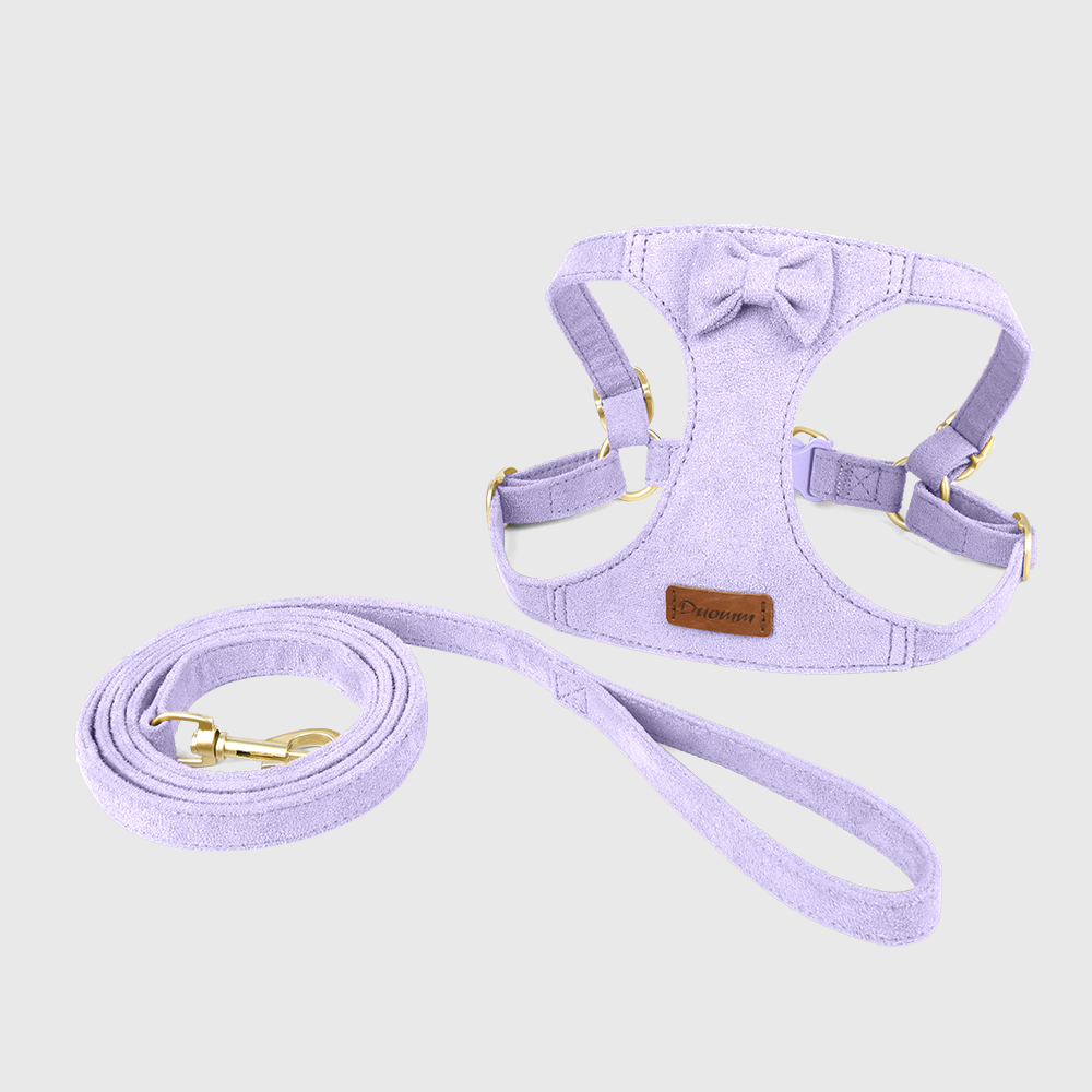 2 set -purple