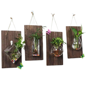 Jarrón de cristal geométrico colgante único creativo con tablero de madera, jarrón decorativo de planta hidropónica transparente - Product Image 1