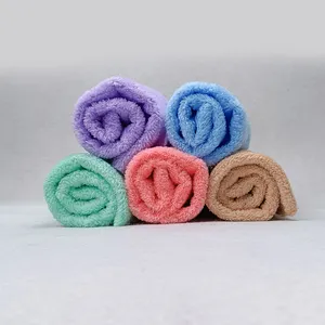 wholesale eco friend coral velvet Edgeless Wash Towel Microfiber gift towel Car Detailing Towel 400GSM 40x40cm