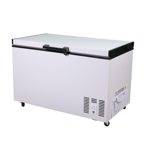 Congelador Horizontal de Gran Capacidad de 310L con Puerta Única y Apertura Superior, Refrigerador Horizontal para Cocina, Uso Comercial y Doméstico, Precio de Fábrica - Product Image 1