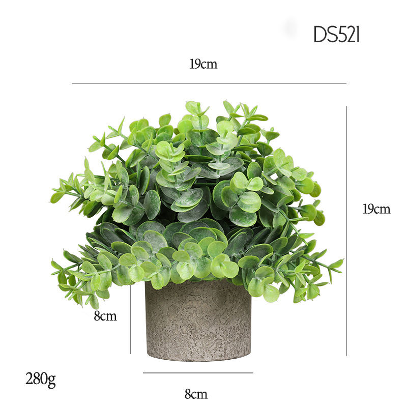 521  Densified dusting greater Eucalyptus