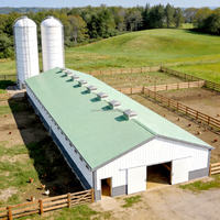 Structure en acier à longue portée de style ferme moderne, conception de poulailler pour poulets de chair, certification ISO9001CE pour la construction de bâtiments d'élevage avicole