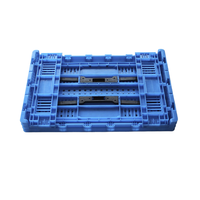 Caisses de stockage pliables panier en plastique avec fonction pliable ventilée Style de boîte solide pour le transport de fruits légumes oeufs