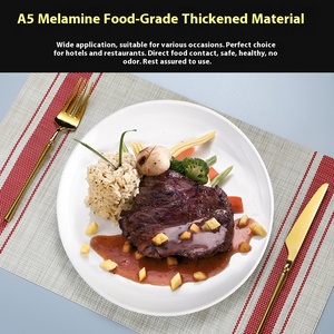 Hot Bán Sang Trọng Cao cấp Trắng Melamine Bữa Ăn Tối Vòng Phẳng Món Ăn Tấm Biểu Tượng Tùy Chỉnh In Cho Nhà Hàng - Product Image 4