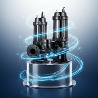 Bomba Sumergible para Aguas Residuales WQ 5HP SS304, 50m de Altura de Elevación, 100L/min, DN50, con Brida, Bomba Industrial para Aguas Residuales, OEM, Eficiente Energéticamente