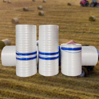 Filet d'emballage pour l'agriculture blanc 10g HDPE Enveloppe de balles de foin d'ensilage de maïs Mini presse à balles rondes Enveloppes de filet de cerclage