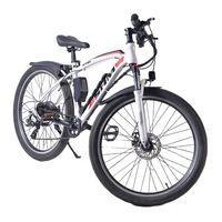 Nouveau modèle économique de vélo électrique, moteur de vélo électrique neuf de 1000W