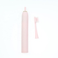 Brosse à dents électrique puissante à chargement DC pour adultes, utilisation à domicile et en voyage, logo personnalisé, brosses à dents électroniques