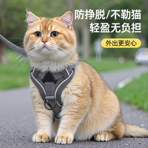 Arnés de pecho para gatos, correa ajustable y transpirable estilo chaleco para uso en exteriores - Product Image 1