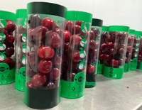 Emballage de tube rond de cylindre en plastique d'acétate recyclable personnalisé avec l'emballage de tube rond de conteneur de fruit de poignée