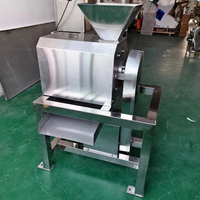 Kleine Pulping Fruit Pulper Mango Sap Verwerking Pulp Machine Prijs