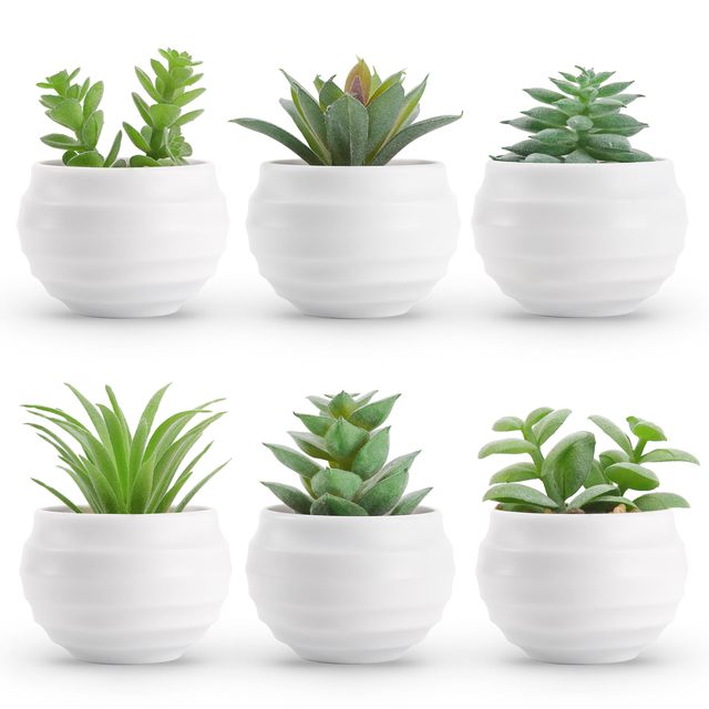 mug succulent Succulent Mugs main image 1