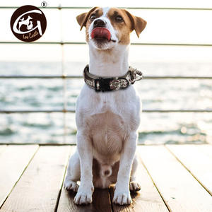 Camouflage in Nylon verde militare per addestramento per cani collare tattico medio grande solido per prodotti transfrontalieri per animali Amazon - Product Image 1