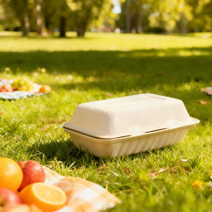 חם כלב ארוך מודרני חם חם חם ארוחה אריזה תיבת מזון כיתה microavavable pulp מתכלים - Product Image 3