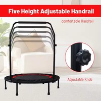 Trampolín para adultos, cama de salto interior, trampolín pequeño, gimnasio en casa, trampolín para niños, plegable personalizado