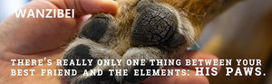 Private Label Eco-Friendly Stocked Paw Balm Wax Proteção 100% Natural Orgânico Dog Paw Cuidados ISO9001 Certified 1oz/2oz -wanzibei - Product Image 3