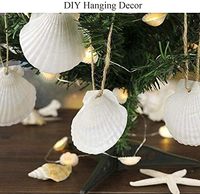 30 coquilles Saint-Jacques écologiques de 2-3 pouces, blanches naturelles, provenant de la plage, pour artisanat DIY et décoration intérieure