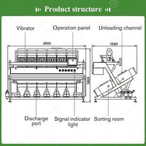 Machine de tri et de calibrage de qualité supérieure pour noix de noyer, haricots noirs, arachides, maïs et amandes - Product Image 3