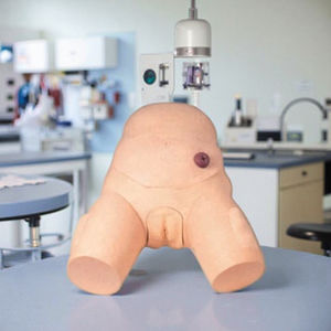 उच्च गुणवत्ता वाली महिला मूत्रमार्ग नर्सिंग मॉडल नए pvc मूत्रमार्ग कैथोलिकरण सिम्युलेटर प्लास्टिक से बना - Product Image 3