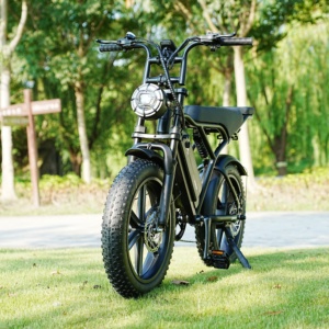 Bicicleta de Montaña Plegable Estilo Retro 2025 para Subir Colinas - Product Image 1