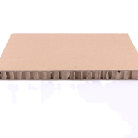 Panneau en nid d'abeille en papier kraft recyclé écologique Ngoc Anh Vietnam pour le refroidissement et la réduction de la température intérieure 1200x2400mm