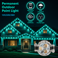 Lumières de pointage extérieures permanentes intelligentes RGBW pour avant-toit, synchronisation musicale, minuterie, contrôle par application, intensité réglable, pour décorations de Noël, de fêtes, de maison et de patio
