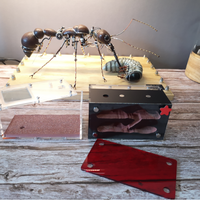 Cage en acrylique pour insectes, conteneur de ferme pour fourmis, nid détachable à aimant