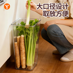 Transparent Rectangle Storage <b>Container</b> Large Capacity Kitchen Food Organizer For Vegetables And Herbs - Product Image 2