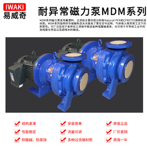 Bomba Magnética Iwaki Mdm65Ekkf, Bomba Centrífuga Química de Descarga de 65 mm, Bomba Horizontal de Impulsor Único para Manejo de Aguas Residuales e Impurezas - Product Image 3