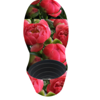 Couvercle de pot de pivoine personnalisé Paeonia Kansas Decor Pot Sleeve pour plante