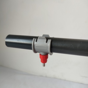 Tự động giống Gà Thịt lớp việc vặt-Thời gian núm vú người uống với yên xe - Product Image 3