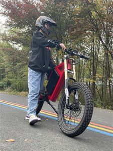 Batería de Litio Integrada de 60 Ah para Bicicleta de Montaña, para Horquilla Delantera KKE DNM, Bicicleta Eléctrica para Carreras - Product Image 2