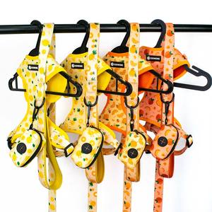 Arnés, Correa y Collar de Neopreno Personalizados con Logotipo Impreso de Diseño de Lujo, Soporte de Fábrica OEM ODM - Product Image 1