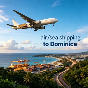 Servicio <span class=keywords><strong>de</strong></span> Transporte Aéreo a Aeropuerto <span class=keywords><strong>de</strong></span> <span class=keywords><strong>Santo</strong></span> <span class=keywords><strong>Domingo</strong></span>, Maquinaria <span class=keywords><strong>de</strong></span> Construcción <span class=keywords><strong>de</strong></span> Gran Tamaño - Product Image 2