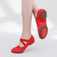 Chaussures de danse classique latine à talons plats pour femmes adultes, dessus en toile, semelles souples, semelle extérieure en caoutchouc, à lacets, pour professeurs