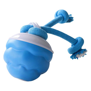 <strong>2026</strong> <strong>New</strong> Arrival Electric Plastic Dog Toy Ball with Built-in Barking Puzzle Rope <strong>for</strong> Small &amp; Medium Dogs Pet Chew Toys - Product Image 5