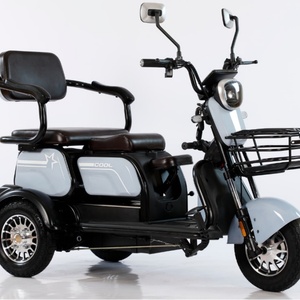 800W Electric Tricycle Household Small Scooter Three-seat Adjustable Electric Tricycle - Product Image 4