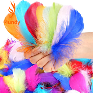 4-8CM/100 pièces en sachet, petites plumes d'oie flottantes, matériau de remplissage DIY, accessoires vestimentaires, attrape-rêves, boucles d'oreilles - Product Image 1